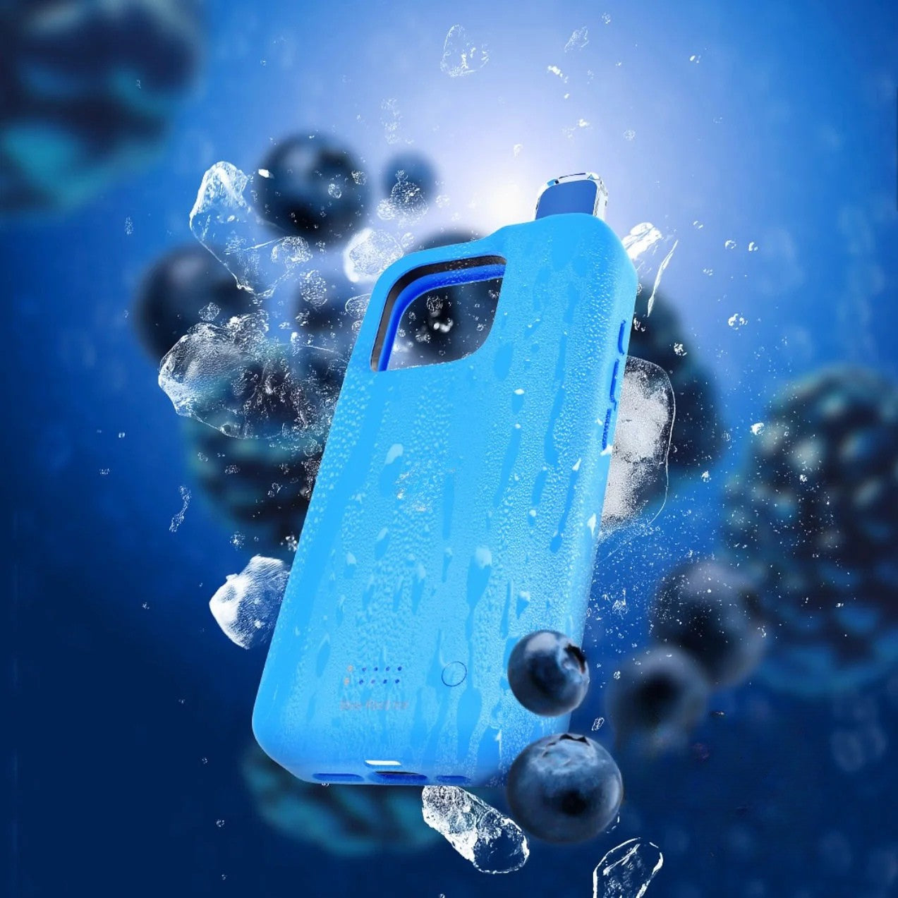 HisCase - ROHAKER