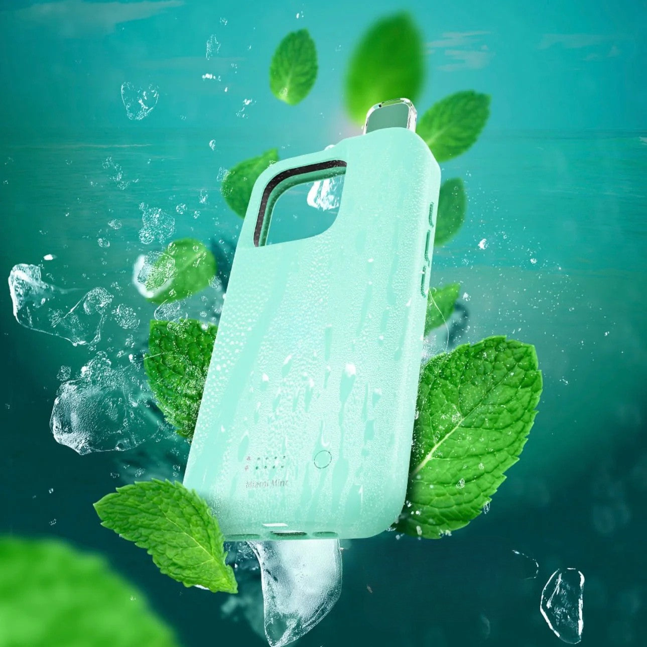 HisCase - ROHAKER